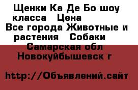 Щенки Ка Де Бо шоу класса › Цена ­ 60 000 - Все города Животные и растения » Собаки   . Самарская обл.,Новокуйбышевск г.